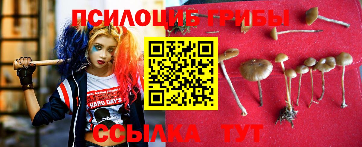 Псилоцибиновые грибы мухоморы Каспийск