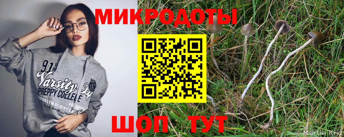 дарнет шоп  Вход с VPN  Каспийск  Галлюциногенные грибы Psilocybe 